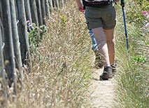 Wandern und Radfahren