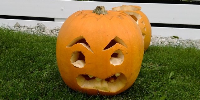 pumpkin 1