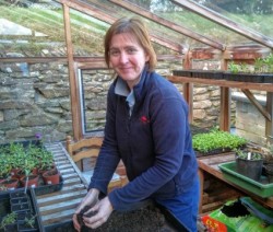 A picture of Alison, the new Head Gardener in her green house