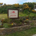 Planting at the Front of Mother Ivey's Bay Holiday Park