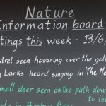 A photograph of Mother Ivey's Bay Holiday Park Reception Wildlife Information Board