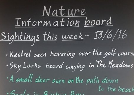 A photograph of Mother Ivey's Bay Holiday Park Reception Wildlife Information Board