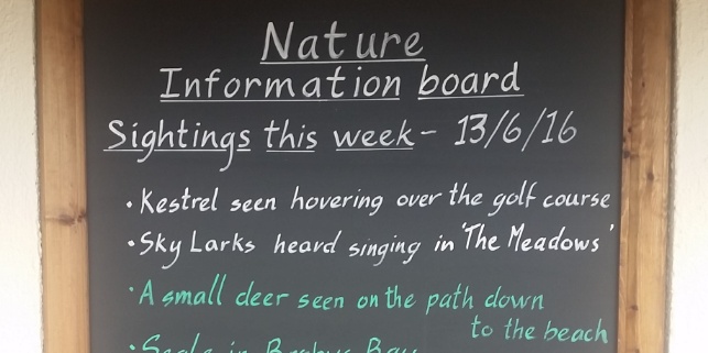 A photograph of Mother Ivey's Bay Holiday Park Reception Wildlife Information Board
