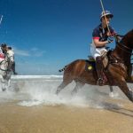 Image of polo horses on Watergate Bay beach.