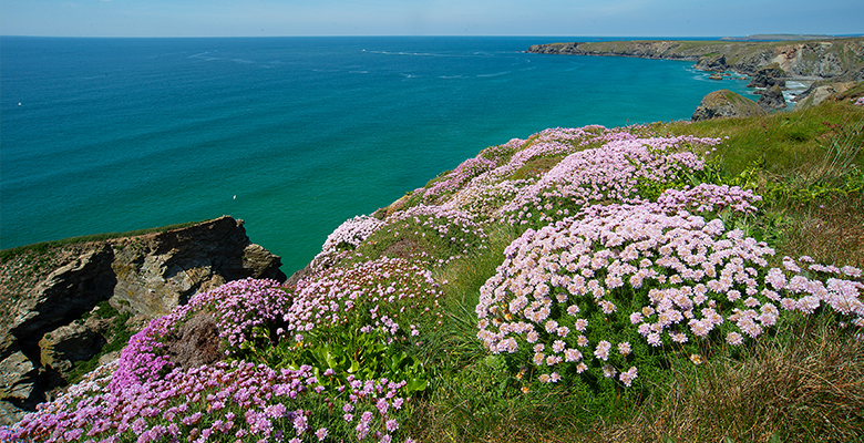 Coastline