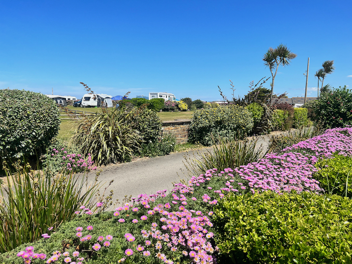 Mother Ivey’s Bay Holiday Park guests give over £16k to wildlife guardians Mother Ivey's Bay Mother Ivey’s Bay Holiday Park guests give over £16k to wildlife guardians Mother Ivey's Bay